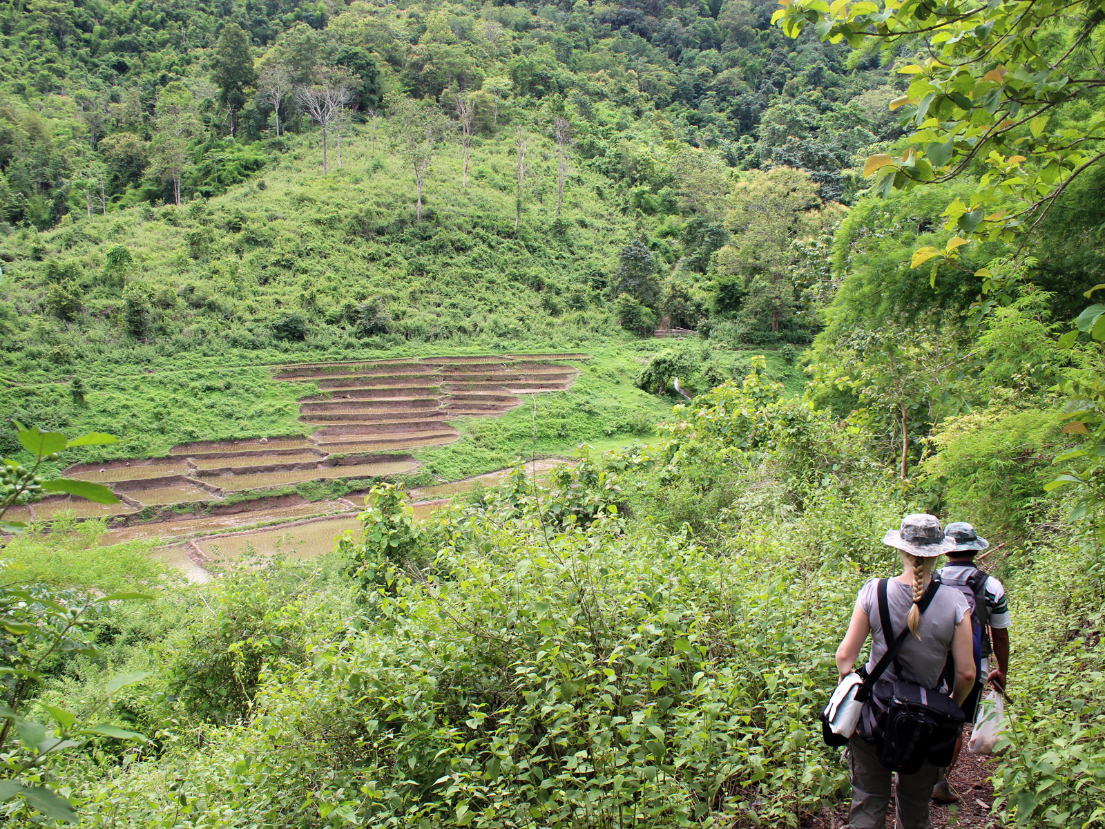 Individual trekking tours | Chiang Mai Trekking | The best trekking in Chiang Mai with Piroon Nantaya