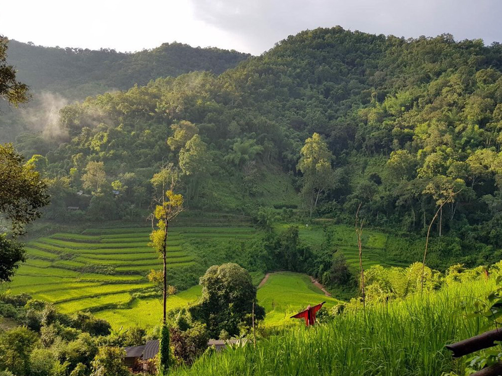 Bamboo Rafting | Chiang Mai Trekking | The best trekking in Chiang Mai with Piroon Nantaya