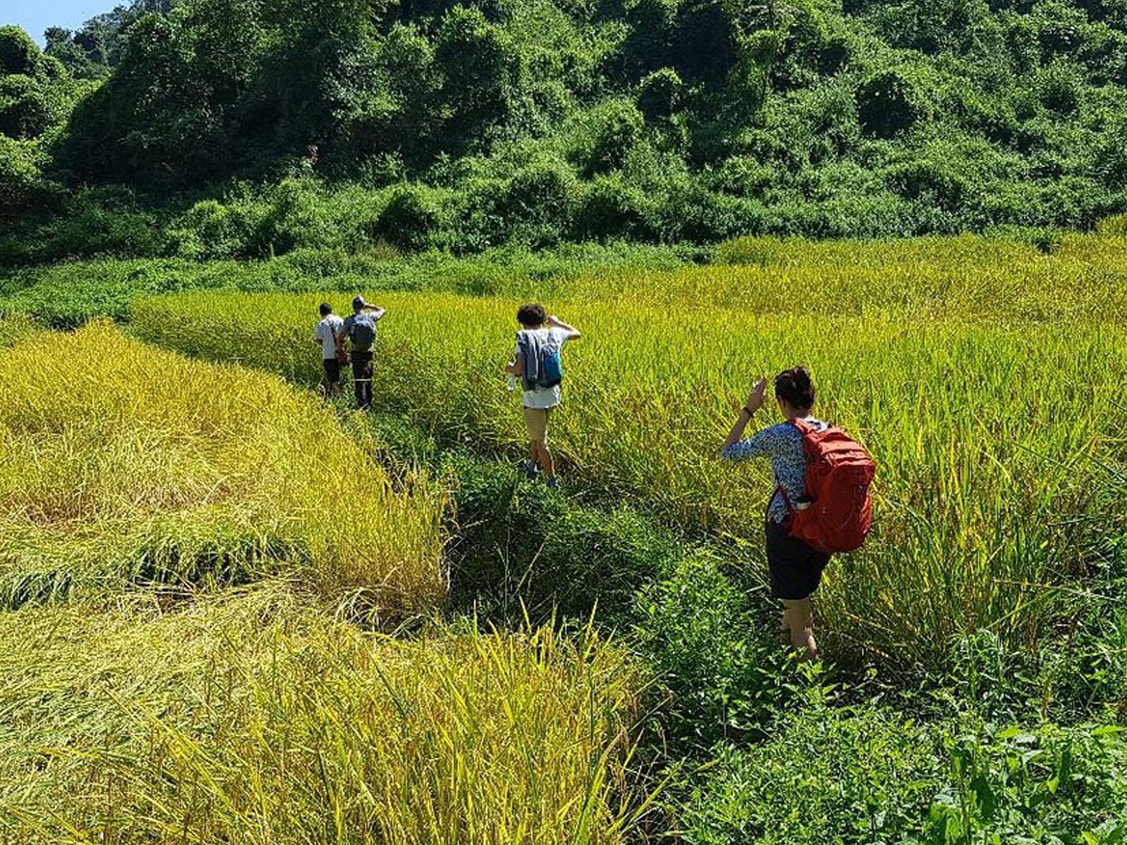 Bamboo Rafting | Chiang Mai Trekking | The best trekking in Chiang Mai with Piroon Nantaya