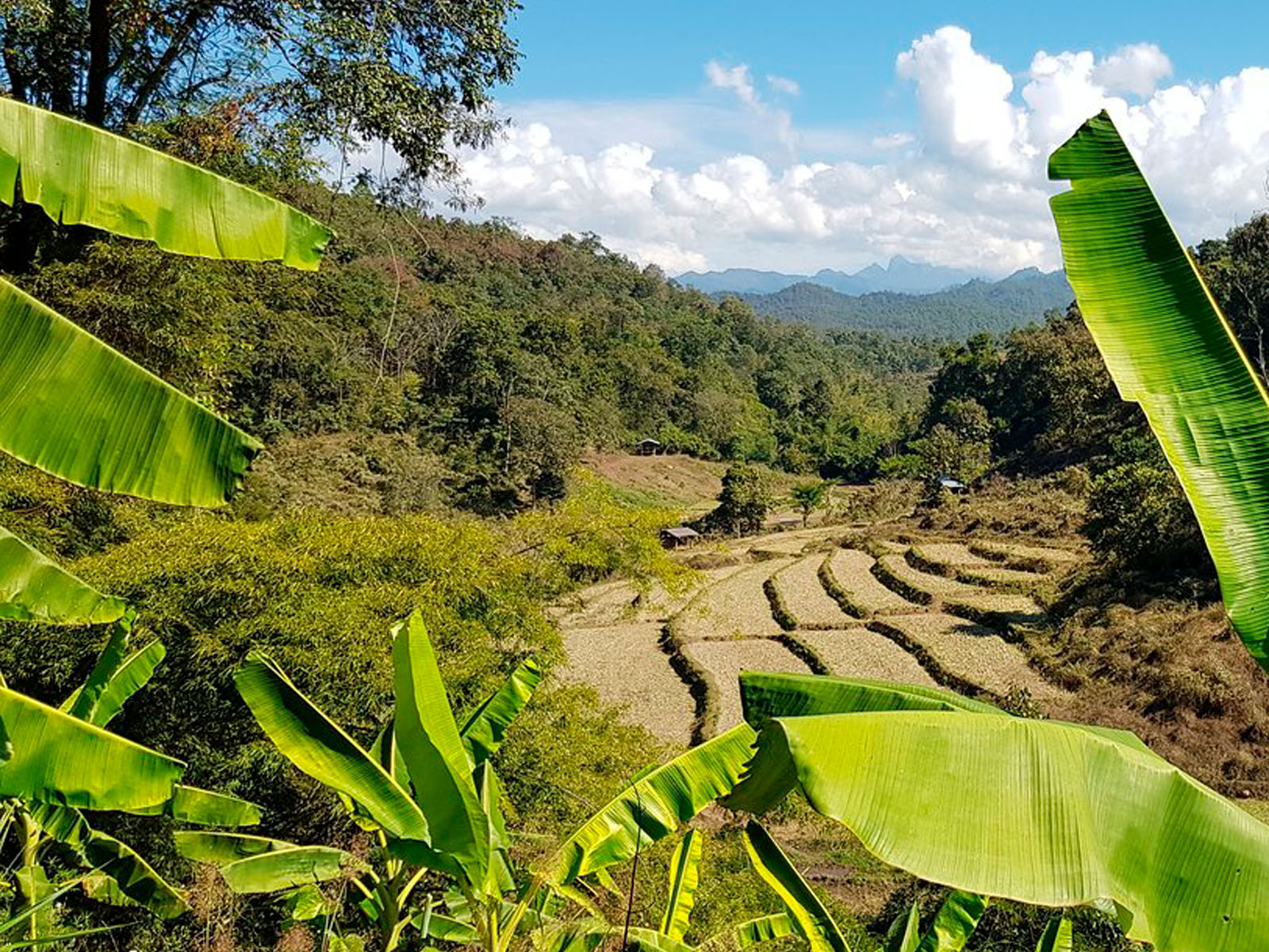 Absolutely unique and authentic | Chiang Mai Trekking | The best trekking in Chiang Mai with Piroon Nantaya