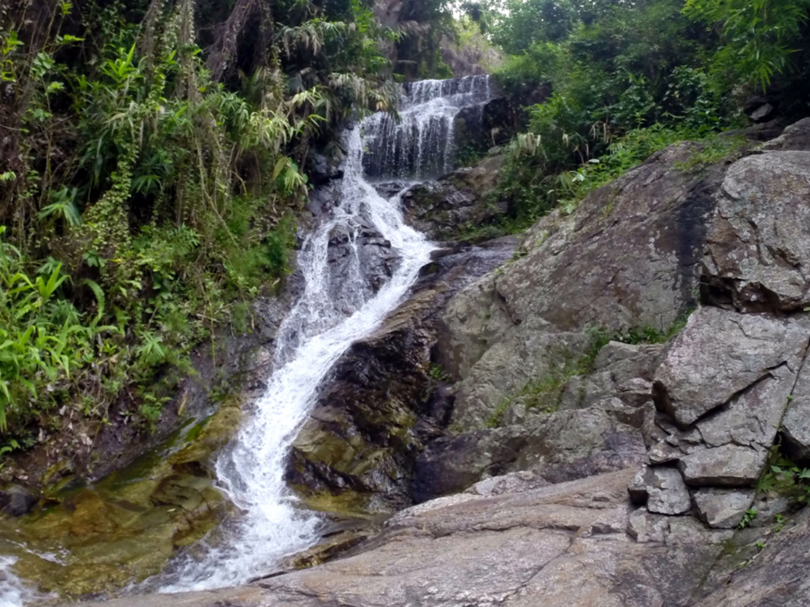 Huay Kaew Waterfall | Chiang Mai Trekking | The best trekking in Chiang Mai with Piroon Nantaya