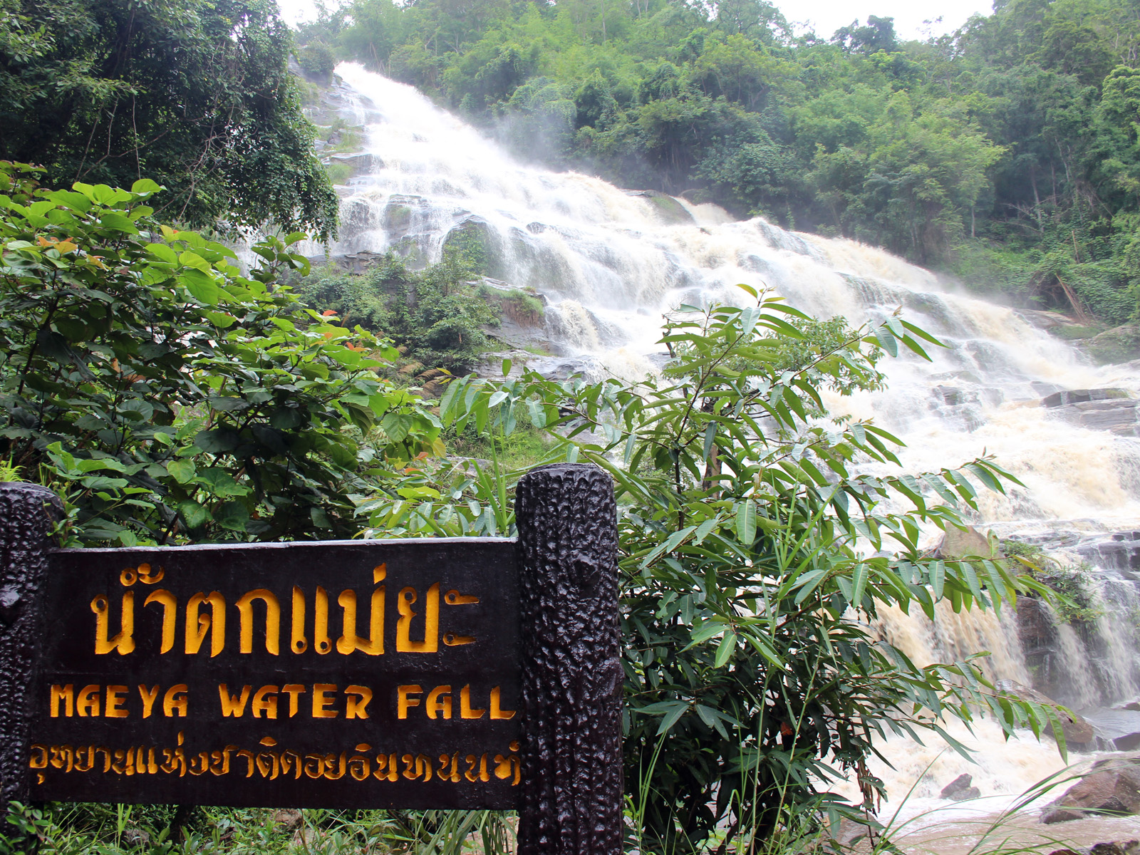 Doi Inthanon | Chiang Mai Trekking | The best trekking in Chiang Mai with Piroon Nantaya