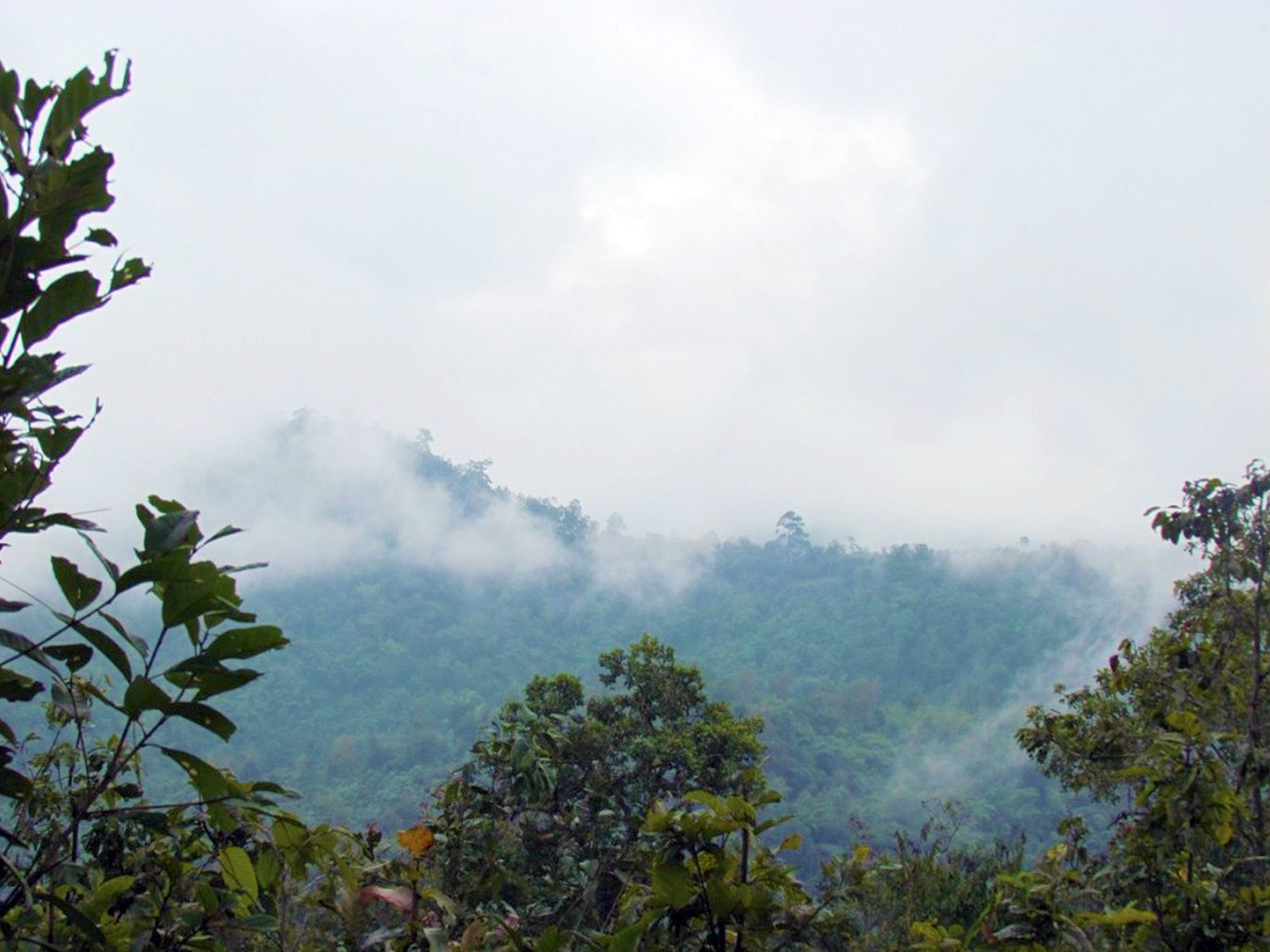 A breathtaking experience | Chiang Mai Trekking | The best trekking in Chiang Mai with Piroon Nantaya