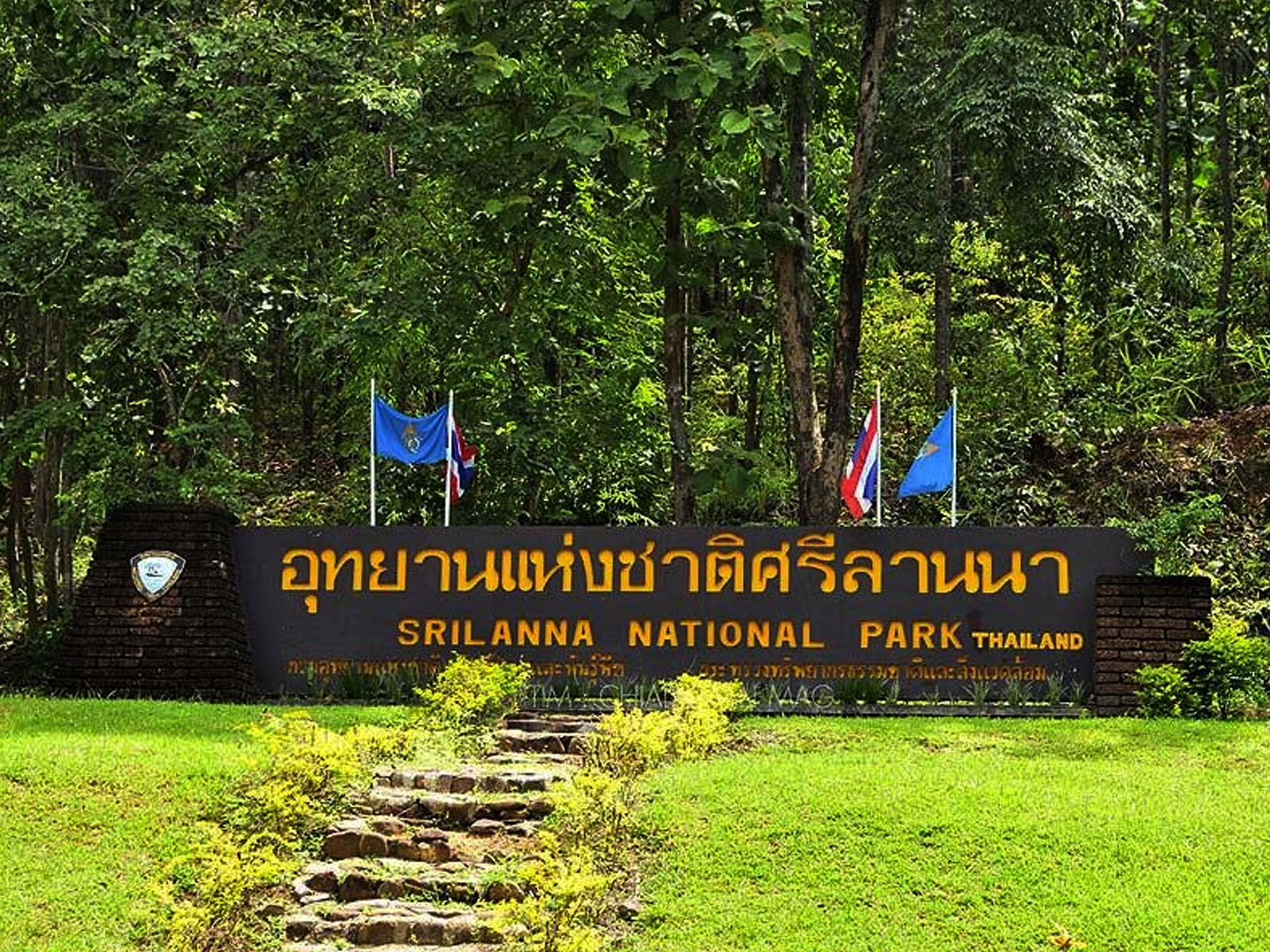 Sri Lanna National Park | Chiang Mai Trekking | The best trekking in Chiang Mai with Piroon Nantaya