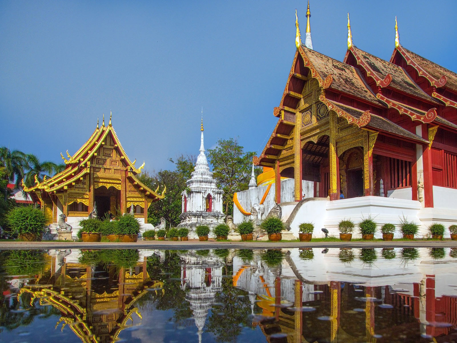 Wat Phra Singh | Chiang Mai Trekking | The best trekking in Chiang Mai with Piroon Nantaya
