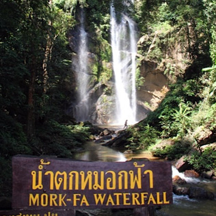Mork Fa Waterfall | Chiang Mai Trekking | The best trekking in Chiang Mai with Piroon Nantaya