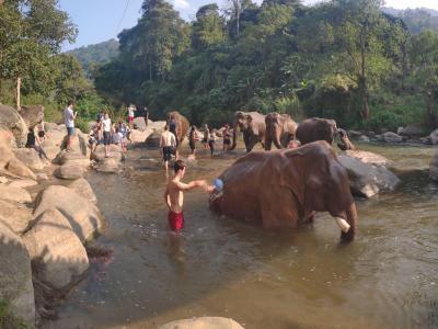 Photos from our guests | Chiang Mai Trekking | The best trekking in Chiang Mai with Piroon Nantaya