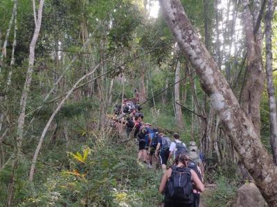 Photos from our guests | Chiang Mai Trekking | The best trekking in Chiang Mai with Piroon Nantaya