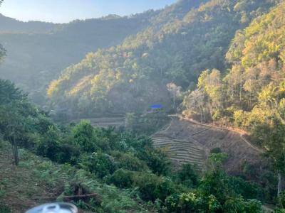 Photos from our guests | Chiang Mai Trekking | The best trekking in Chiang Mai with Piroon Nantaya