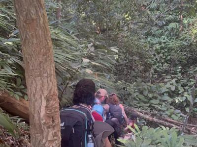 Photos from our guests | Chiang Mai Trekking | The best trekking in Chiang Mai with Piroon Nantaya