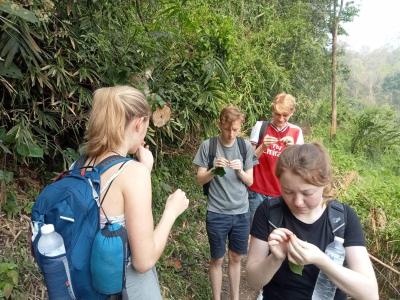 Photos from our guests | Chiang Mai Trekking | The best trekking in Chiang Mai with Piroon Nantaya