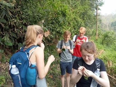 Esmee, Ella, Lucas, Bas | Chiang Mai Trekking | The best trekking in Chiang Mai with Piroon Nantaya