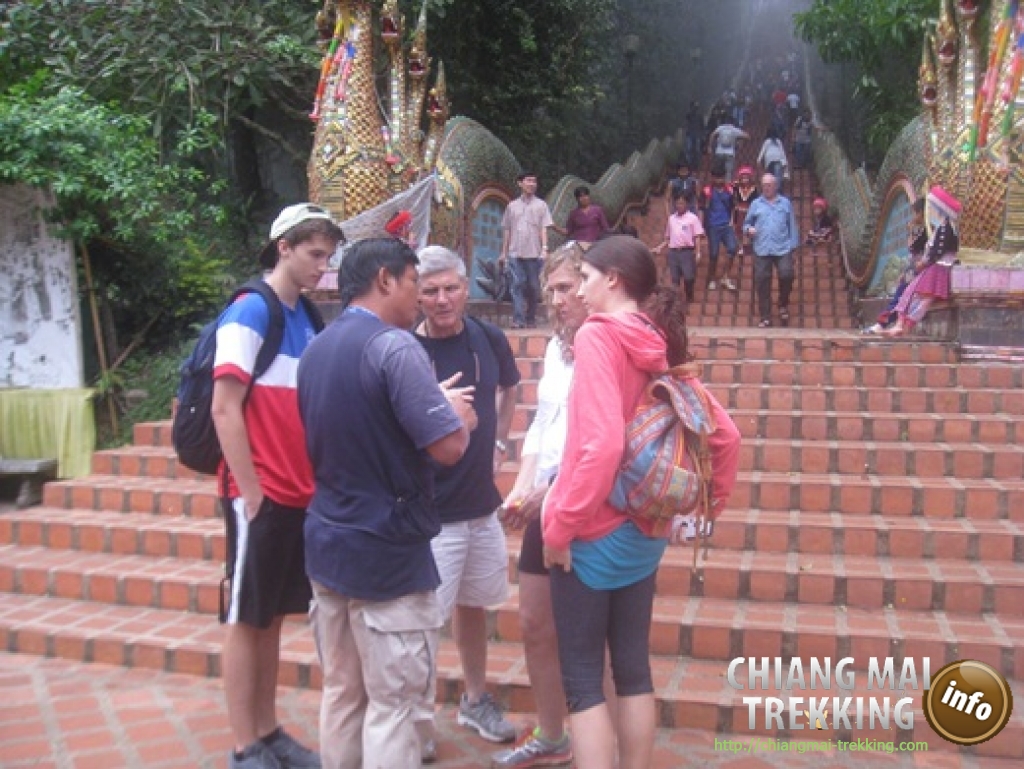 Doi Suthep & Daytrip Trekking | Chiang Mai Trekking | The best trekking in Chiang Mai with Piroon Nantaya