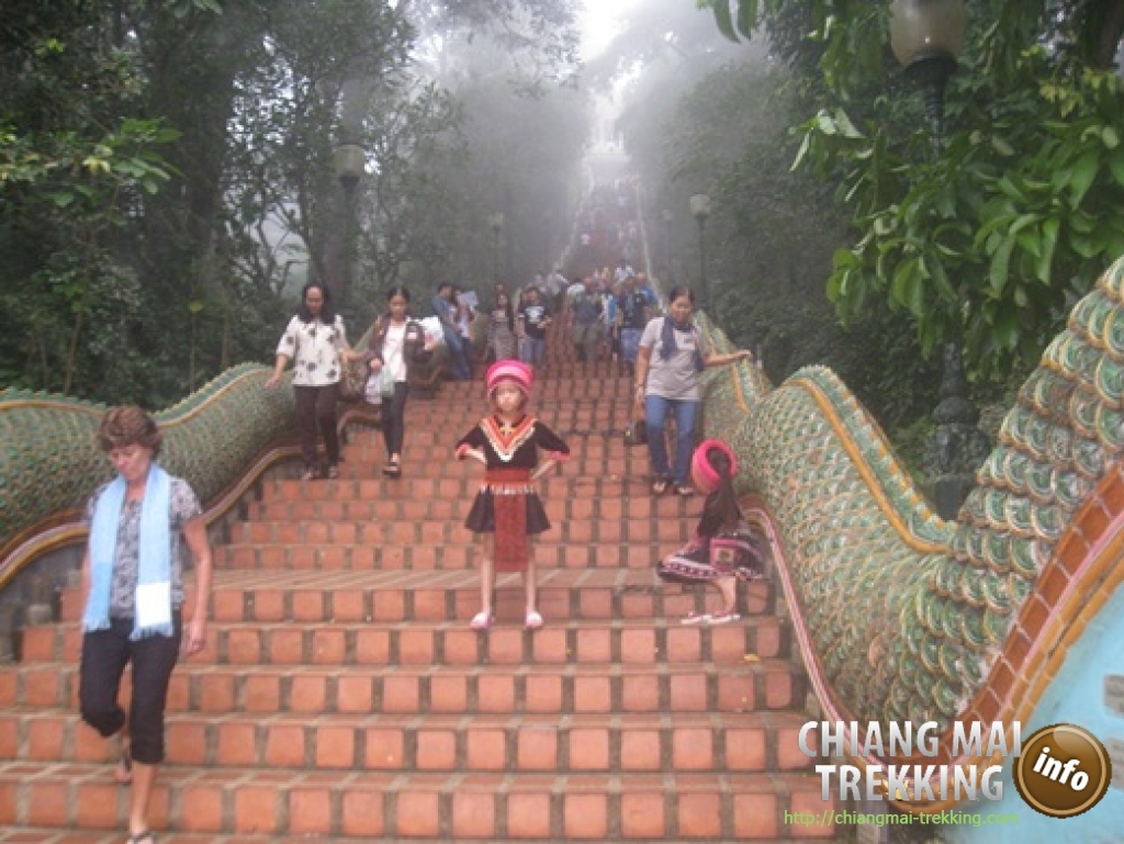 Doi Suthep & Daytrip Trekking | Chiang Mai Trekking | The best trekking in Chiang Mai with Piroon Nantaya