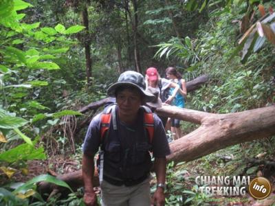 Photos from our guests | Chiang Mai Trekking | The best trekking in Chiang Mai with Piroon Nantaya