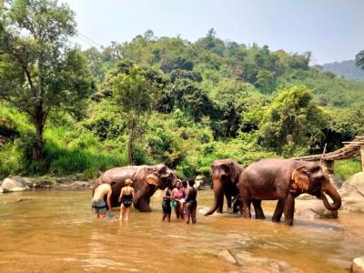 Fergio, Valentina and Ndeye and friends. | Chiang Mai Trekking | The best trekking in Chiang Mai with Piroon Nantaya