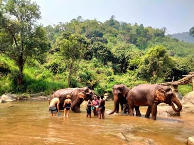 Photos from our guests | Chiang Mai Trekking | The best trekking in Chiang Mai with Piroon Nantaya