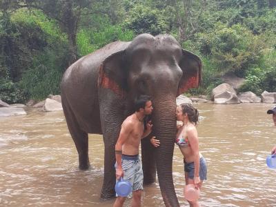 Photos from our guests | Chiang Mai Trekking | The best trekking in Chiang Mai with Piroon Nantaya
