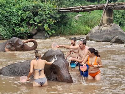 Arnaud, Daphne, Quentin, Stewart, Ingrid | Chiang Mai Trekking | The best trekking in Chiang Mai with Piroon Nantaya