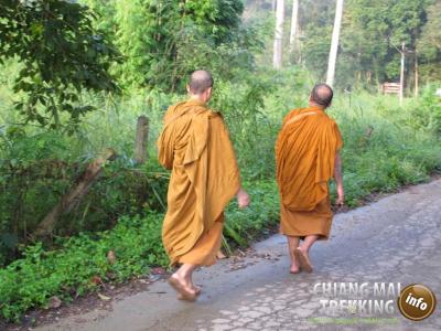 Chiang Dao Cave | Chiang Mai Trekking | The best trekking in Chiang Mai with Piroon Nantaya