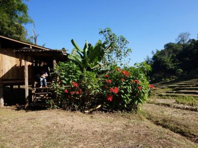 Photos from our guests | Chiang Mai Trekking | The best trekking in Chiang Mai with Piroon Nantaya