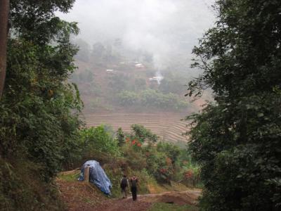 Photos from our guests | Chiang Mai Trekking | The best trekking in Chiang Mai with Piroon Nantaya