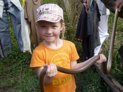 Photos from our guests | Chiang Mai Trekking | The best trekking in Chiang Mai with Piroon Nantaya
