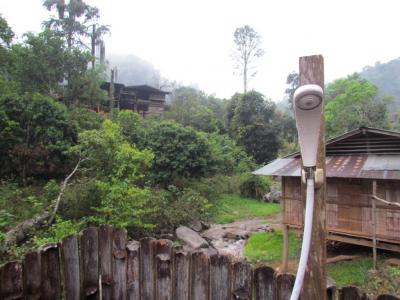 Photos from our guests | Chiang Mai Trekking | The best trekking in Chiang Mai with Piroon Nantaya