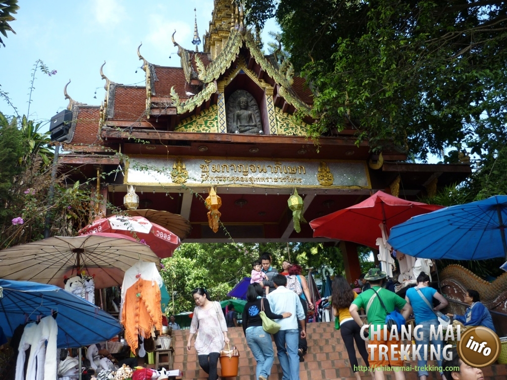 Doi Suthep, Doi Pui & local market | Chiang Mai Trekking | The best trekking in Chiang Mai with Piroon Nantaya