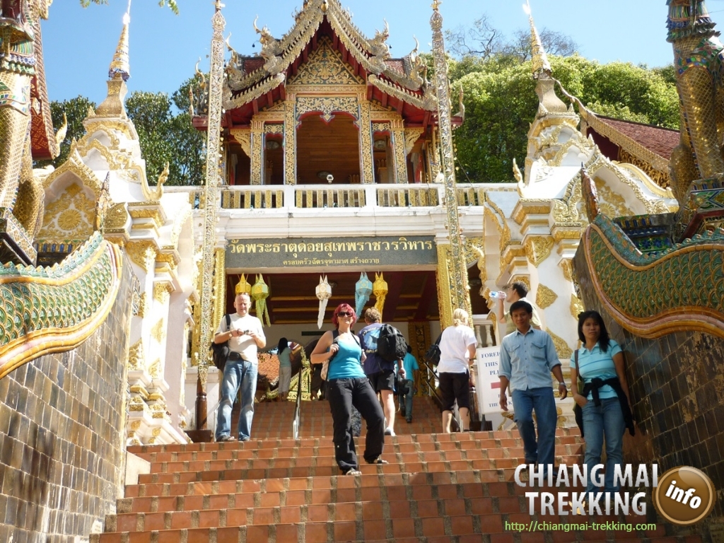 Doi Suthep, Doi Pui & local market | Chiang Mai Trekking | The best trekking in Chiang Mai with Piroon Nantaya