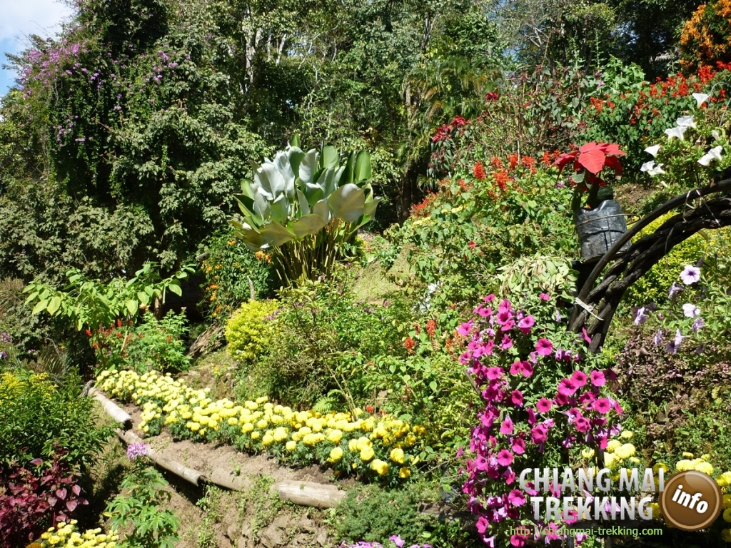 Doi Suthep, Doi Pui & local market | Chiang Mai Trekking | The best trekking in Chiang Mai with Piroon Nantaya