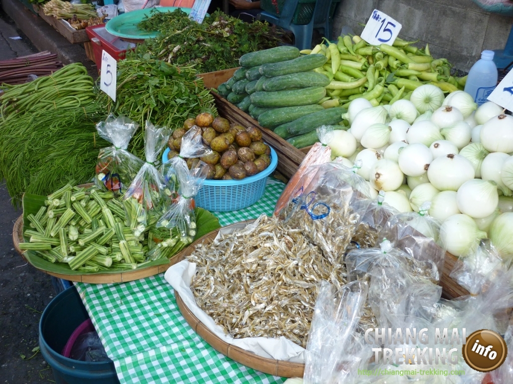 Doi Suthep, Doi Pui & local market | Chiang Mai Trekking | The best trekking in Chiang Mai with Piroon Nantaya