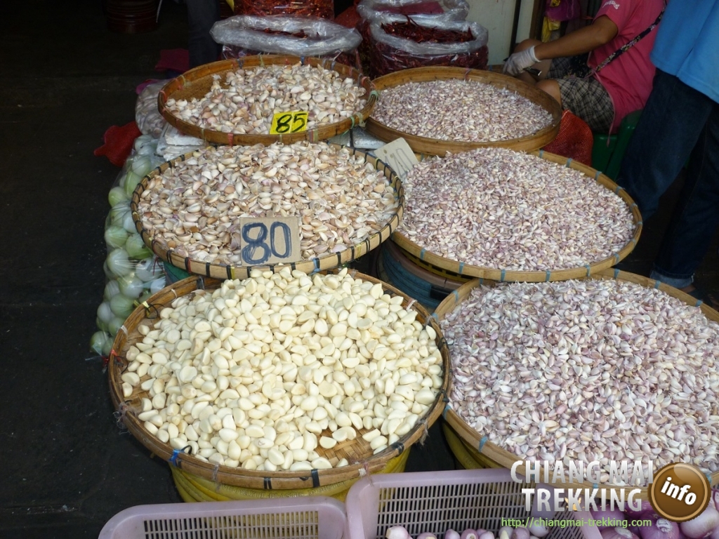 Doi Suthep, Doi Pui & local market | Chiang Mai Trekking | The best trekking in Chiang Mai with Piroon Nantaya