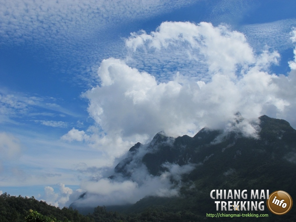Day Trip Chiang Dao Cave & Doi Luang Chiang Dao Mountain | Chiang Mai Trekking | The best trekking in Chiang Mai with Piroon Nantaya