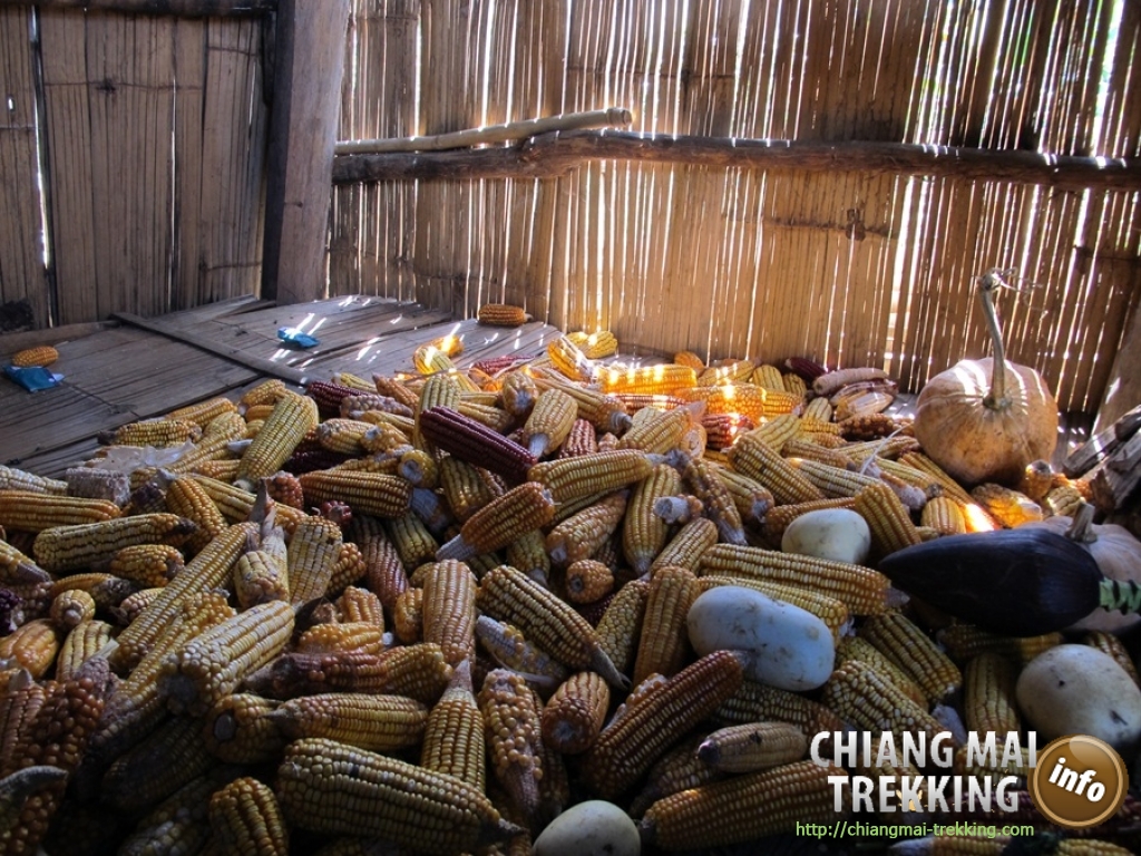 Day Trip Chiang Dao Cave & Doi Luang Chiang Dao Mountain | Chiang Mai Trekking | The best trekking in Chiang Mai with Piroon Nantaya
