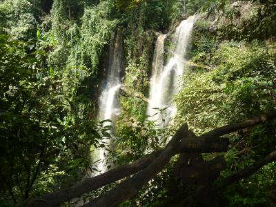 Authentic trekking  With Volonteers  Chirstian German School Chiangmai. | Chiang Mai Trekking | The best trekking in Chiang Mai with Piroon Nantaya