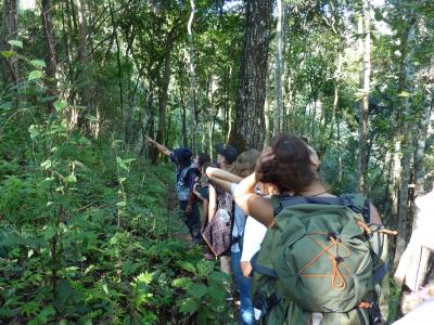 Authentic trekking  With Volonteers  Chirstian German School Chiangmai. | Chiang Mai Trekking | The best trekking in Chiang Mai with Piroon Nantaya