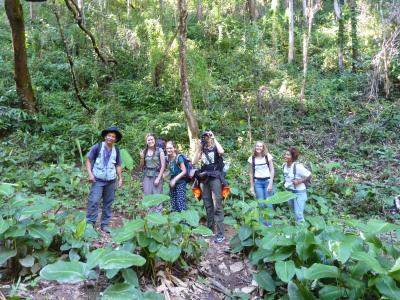 Authentic trekking  With Volonteers  Chirstian German School Chiangmai. | Chiang Mai Trekking | The best trekking in Chiang Mai with Piroon Nantaya