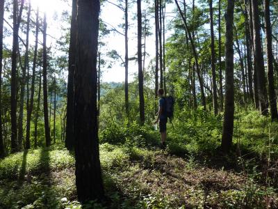 Authentic trekking  With Volonteers  Chirstian German School Chiangmai. | Chiang Mai Trekking | The best trekking in Chiang Mai with Piroon Nantaya