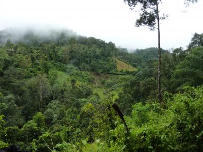 Photos from our guests | Chiang Mai Trekking | The best trekking in Chiang Mai with Piroon Nantaya