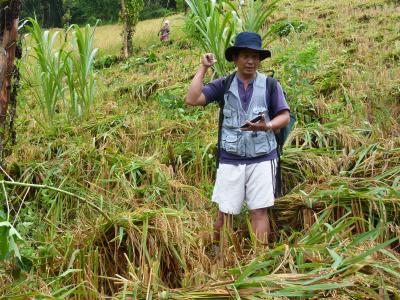 Authentic trekking  With Volonteers  Chirstian German School Chiangmai. | Chiang Mai Trekking | The best trekking in Chiang Mai with Piroon Nantaya