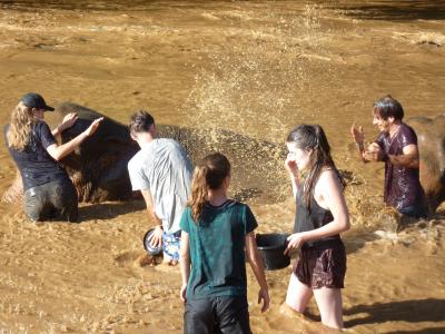 Photos from our guests | Chiang Mai Trekking | The best trekking in Chiang Mai with Piroon Nantaya