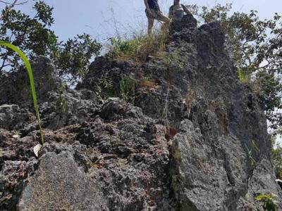 Photos from our guests | Chiang Mai Trekking | The best trekking in Chiang Mai with Piroon Nantaya