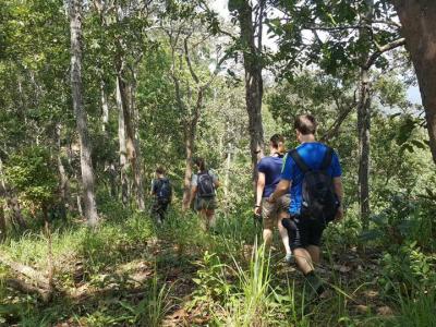 One Day trekking    | Chiang Mai Trekking | The best trekking in Chiang Mai with Piroon Nantaya