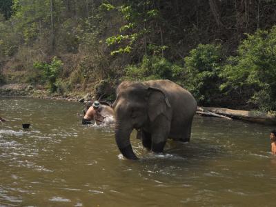 Valerie & Bertrand And Family   | Chiang Mai Trekking | The best trekking in Chiang Mai with Piroon Nantaya