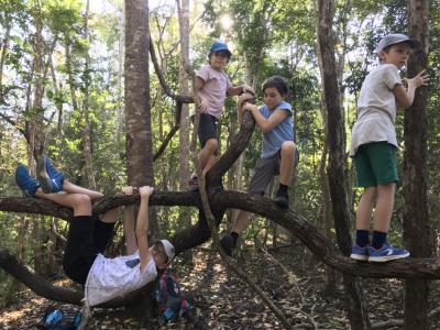 Photos from our guests | Chiang Mai Trekking | The best trekking in Chiang Mai with Piroon Nantaya
