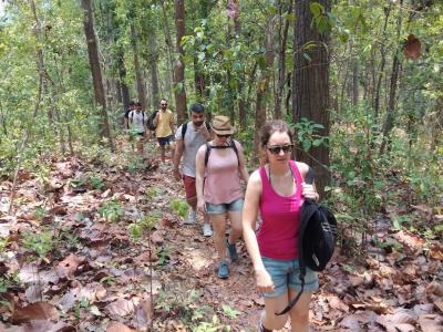 Photos from our guests | Chiang Mai Trekking | The best trekking in Chiang Mai with Piroon Nantaya