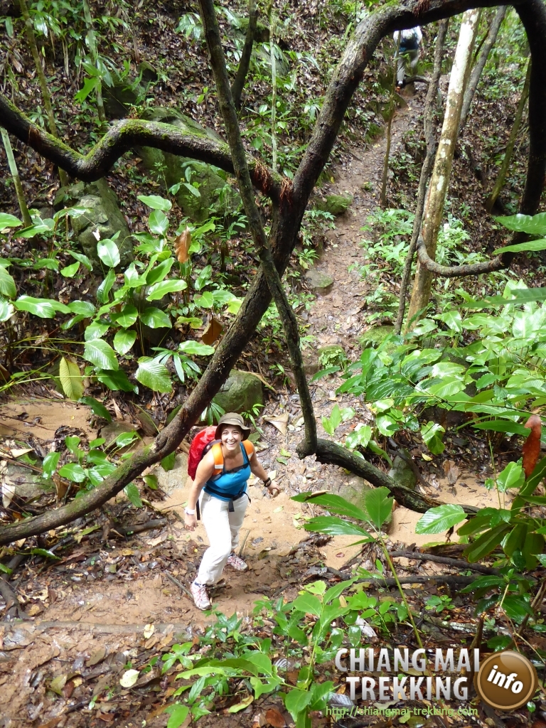 3-days/2-nights Trekking Tour | Chiang Mai Trekking | The best trekking in Chiang Mai with Piroon Nantaya