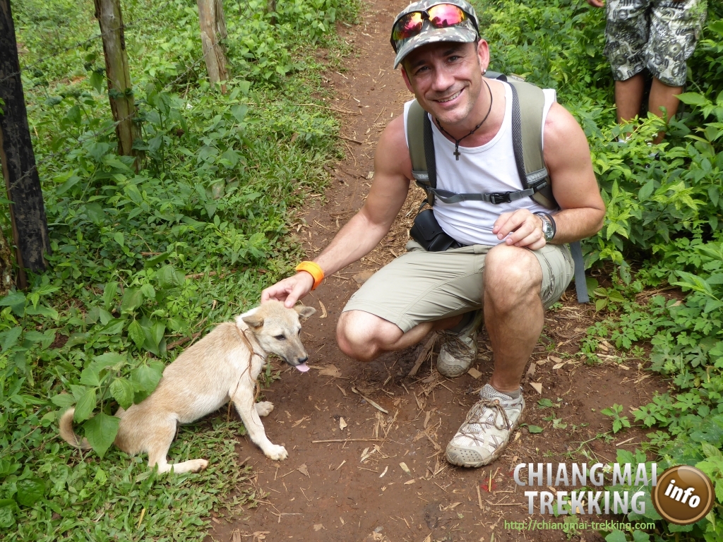3-days/2-nights Trekking Tour | Chiang Mai Trekking | The best trekking in Chiang Mai with Piroon Nantaya