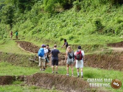 Photos from our guests | Chiang Mai Trekking | The best trekking in Chiang Mai with Piroon Nantaya